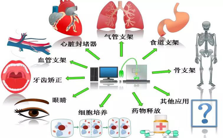 4D 打印形状记忆聚合物在生物医疗领域的研究进展