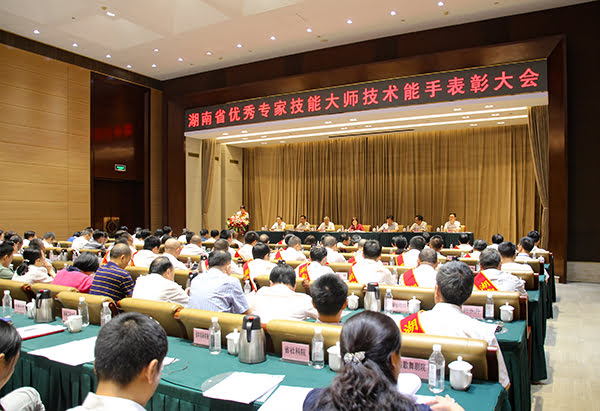 湖南省优秀专家技能大师技术能手表彰大会.JPG