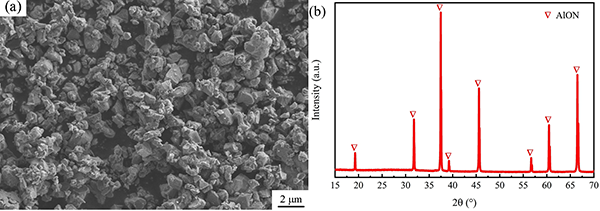 氮氧化铝粉 电镜图
